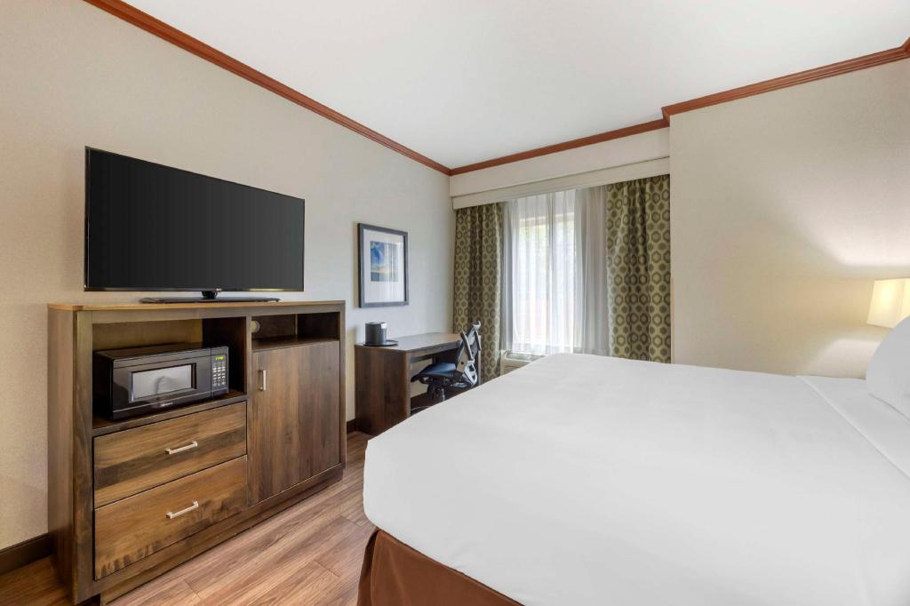 Spa, King Bed, Pool Access