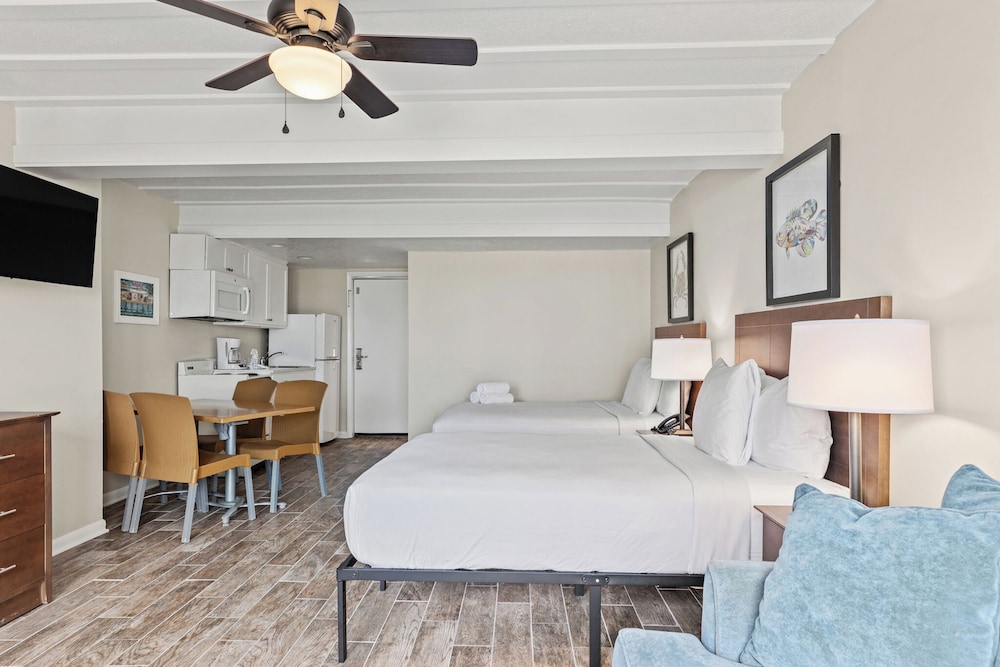 Studio, 2 Double Beds, Sofa, Kitchen, Ground Floor