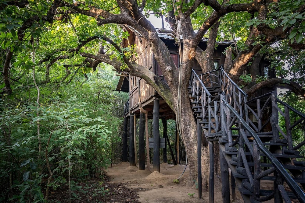 TREE HOUSE HIDEAWAY 44/50