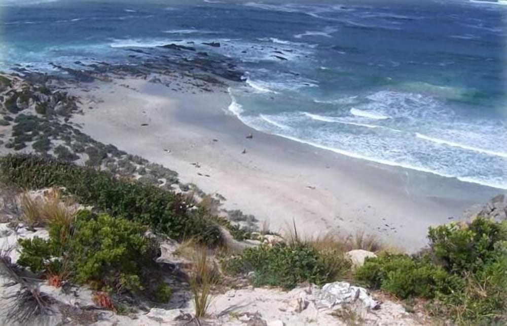 Flour Cask Bay Retreat 6/11