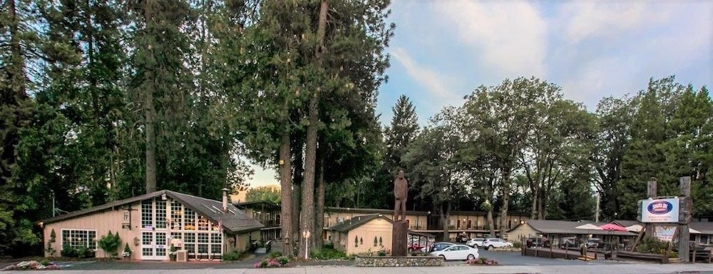 Shasta Inn 4/46