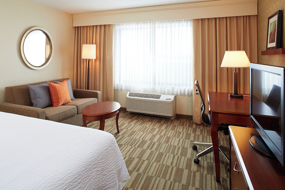 Room, King Bed, Sofa, Accessible