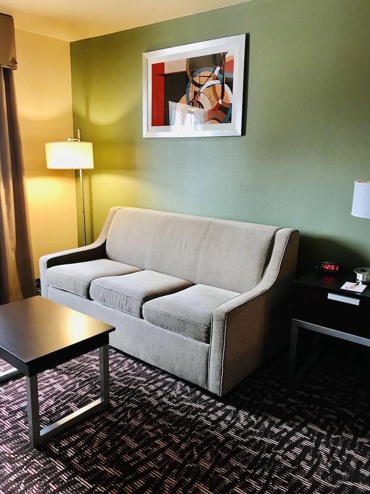 Best Western Plus The Woodlands 19/31