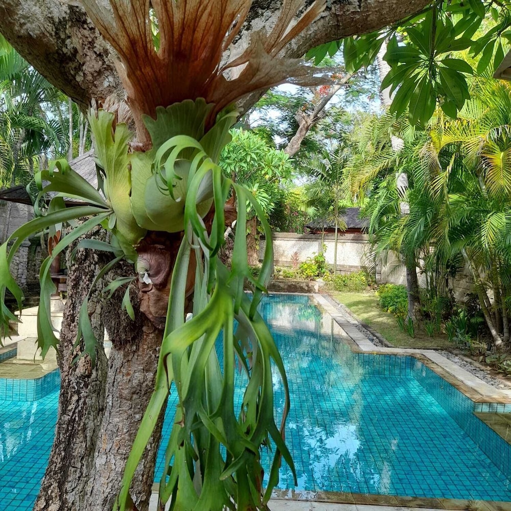 The Royal Beach Seminyak Bali Mgallery Collection 40/49