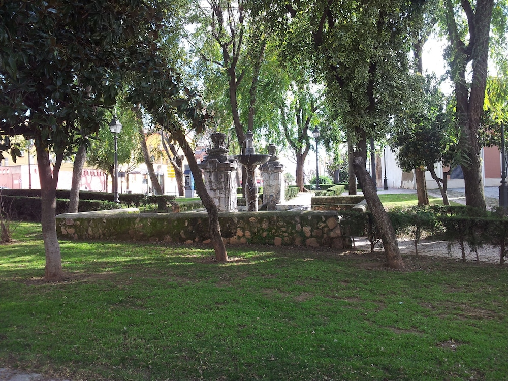 Averroes 30/35