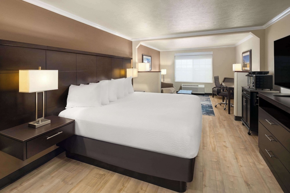 Studio, Suite, King Bed