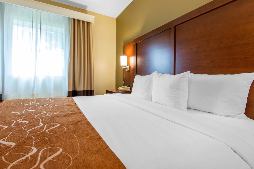 Comfort Suites Rochester Henrietta University Area 9/40