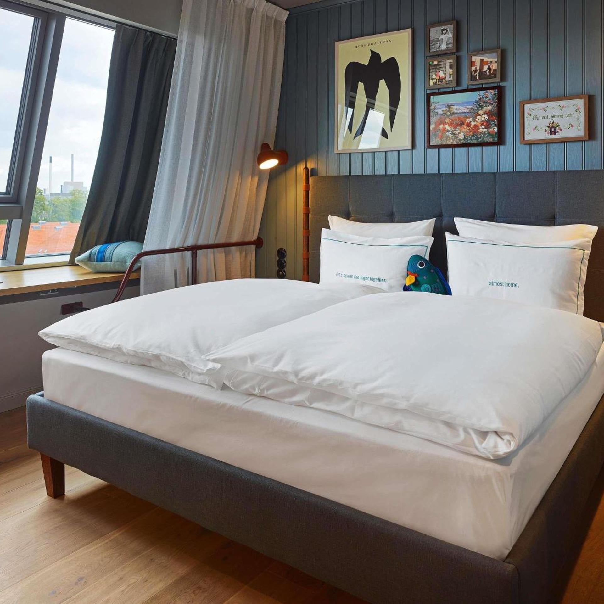 Room, King Bed, Large