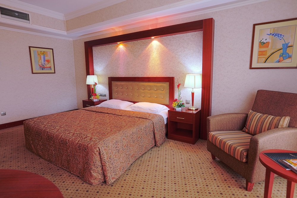 غرفة قياسية بسرير كينج بإطلالة على المدينة، Diplomat Hotel Business Center 4/8