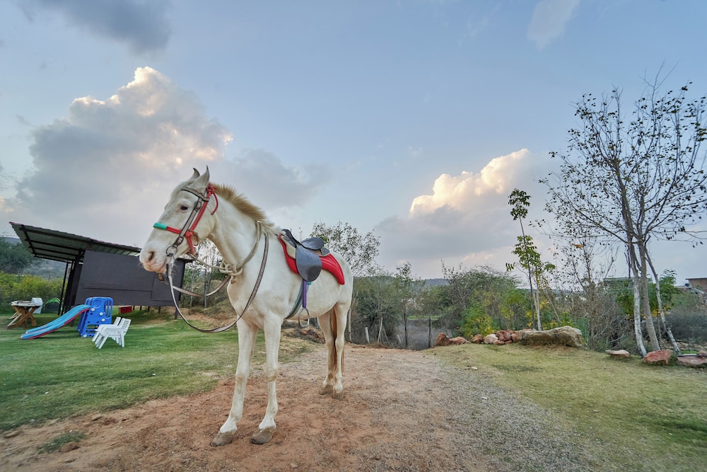 Lohagarh Fort Resort 83/91