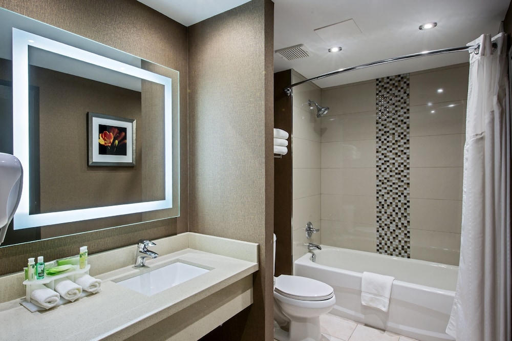 Holiday Inn Express Hotel Suites Swift Current 22/74