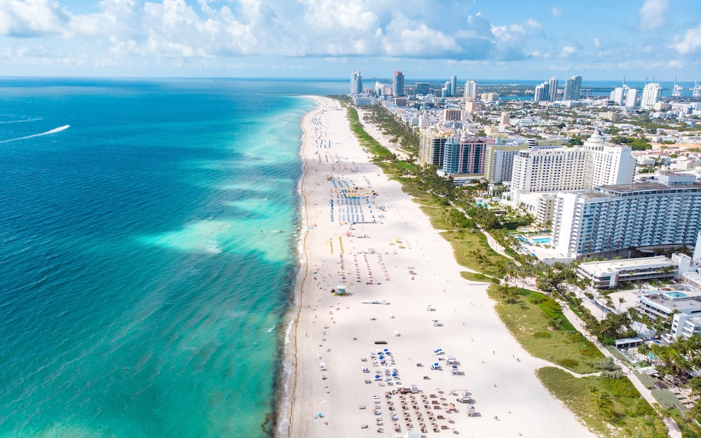 Luxury Miami Beach Apartments By Michigan 59/64