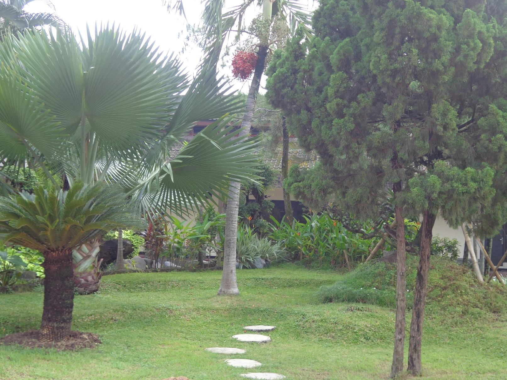 Insumo Palace Hotel and Resort 31/35