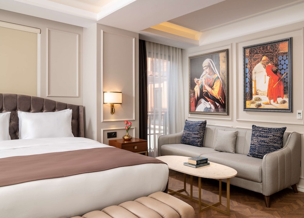 Royan Hotel Hagia Sophia Istanbul, A Member of Radisson Individuals 8/50