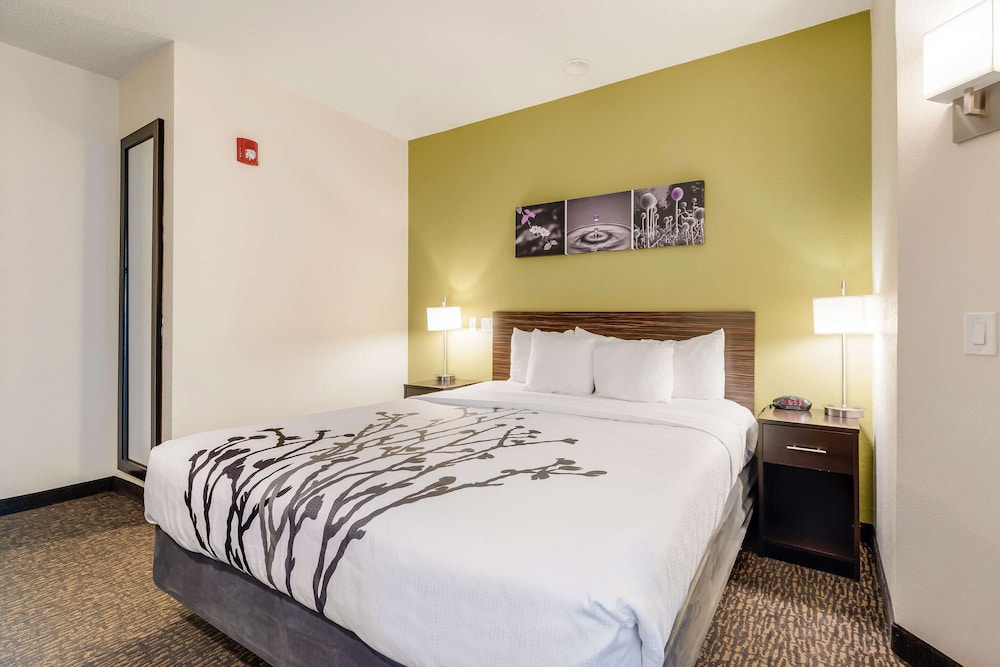 ROOM, KING BED, ACCESSIBLE