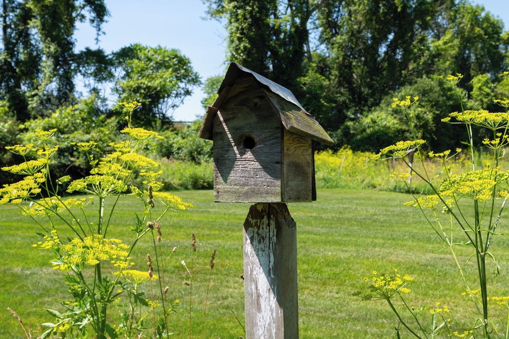 Red Fox Run B&B 21/27