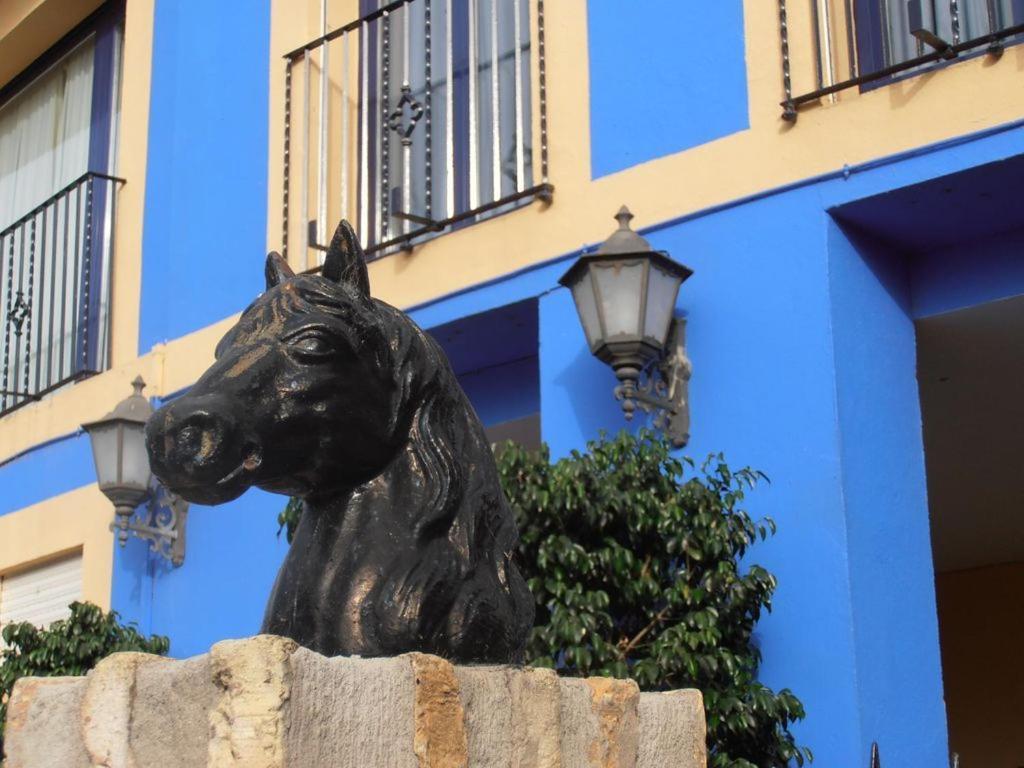 Hotel Caballo Negro 31/33