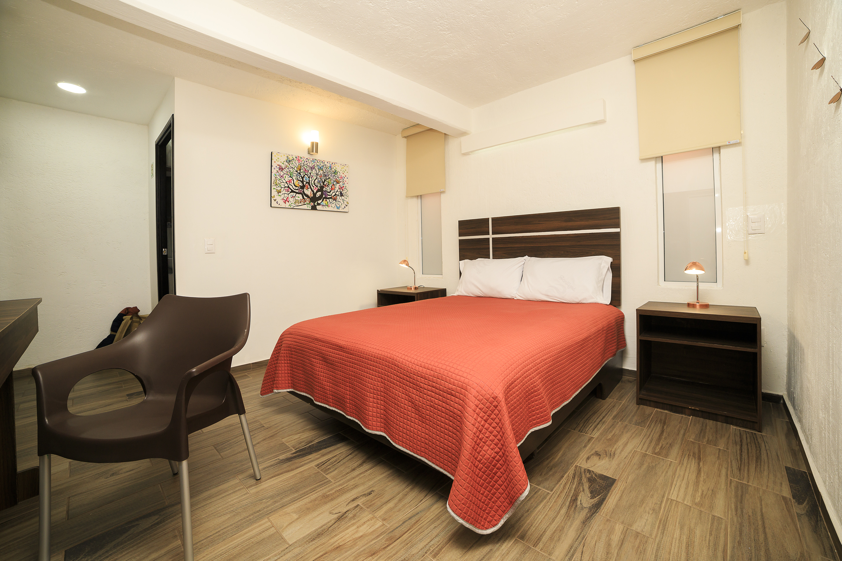 غرفة قياسية بسرير مزدوج