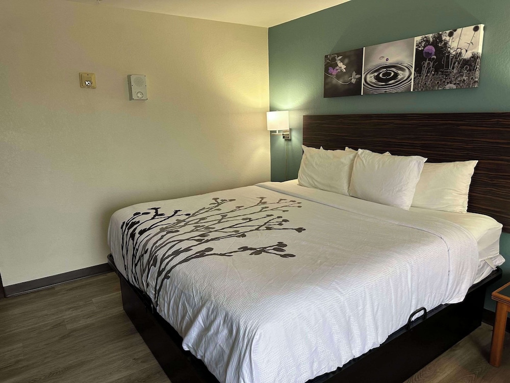 غرفة بزنس بسرير كينج لذوي الإعاقة، Sleep Inn & Suites Pineville - Alexandria 2/6