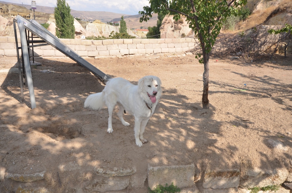 Abras Cave Hotel Cappadocia 24/50