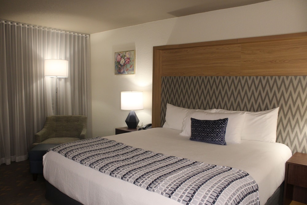 Room, King Bed, Accessible