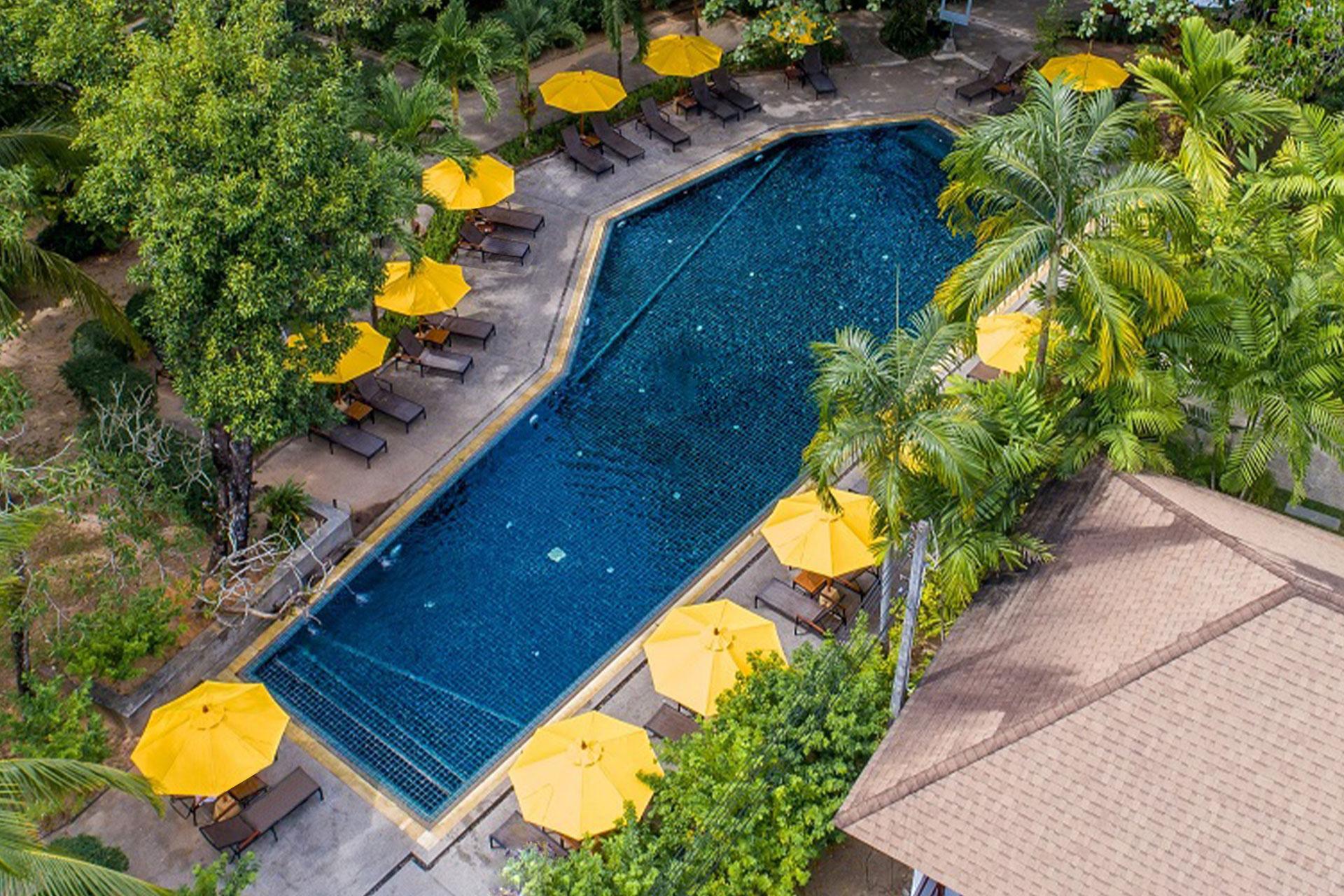 Thai, Mini, Suite