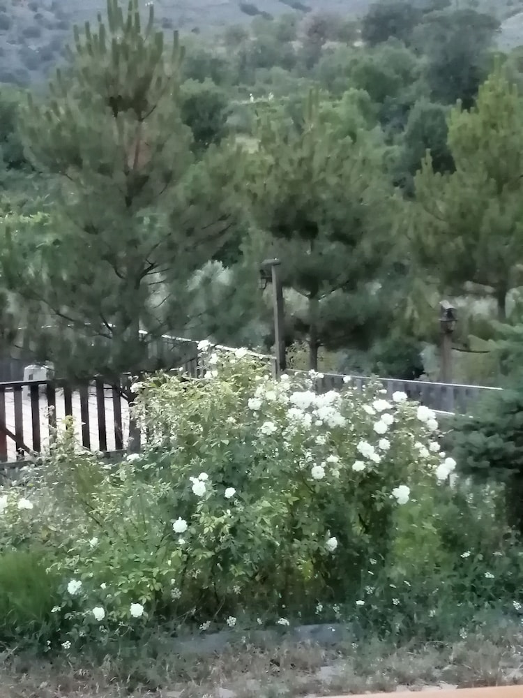 Vegke Kutuk Evleri 17/35