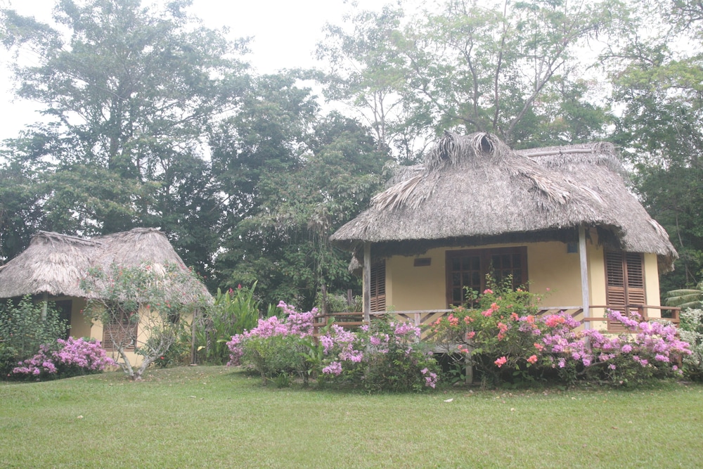 Tanager RainForest Lodge 59/64