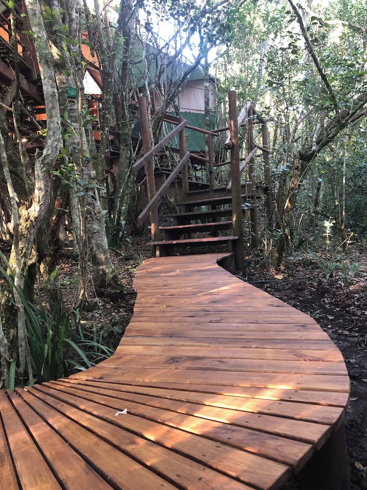 Teniqua Treetops 32/50