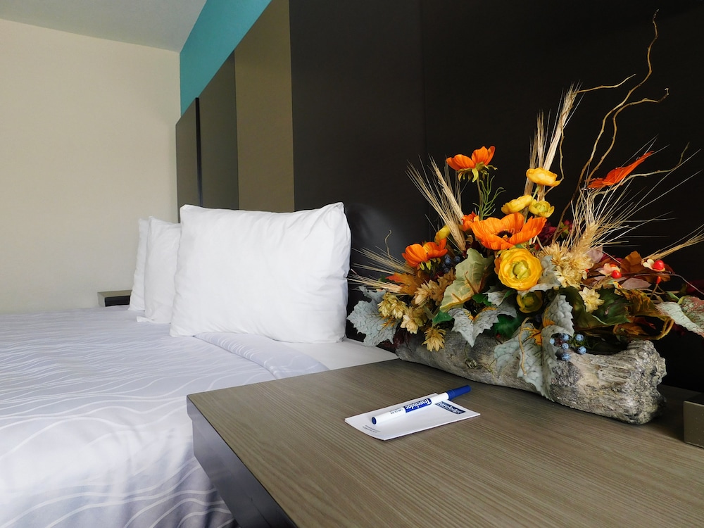 Travelodge by Wyndham Angels Camp CA 24/35