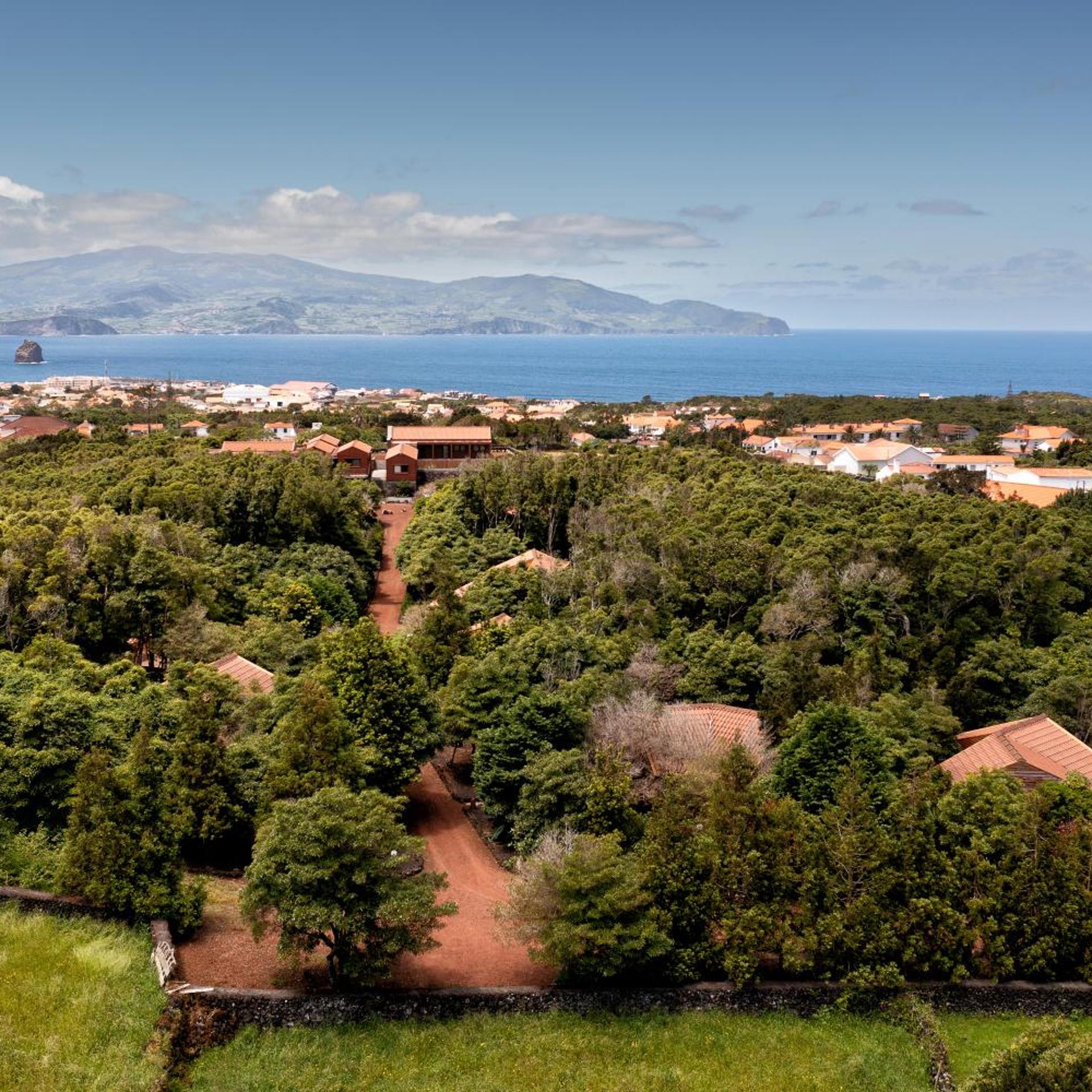 Alma do Pico 35/50
