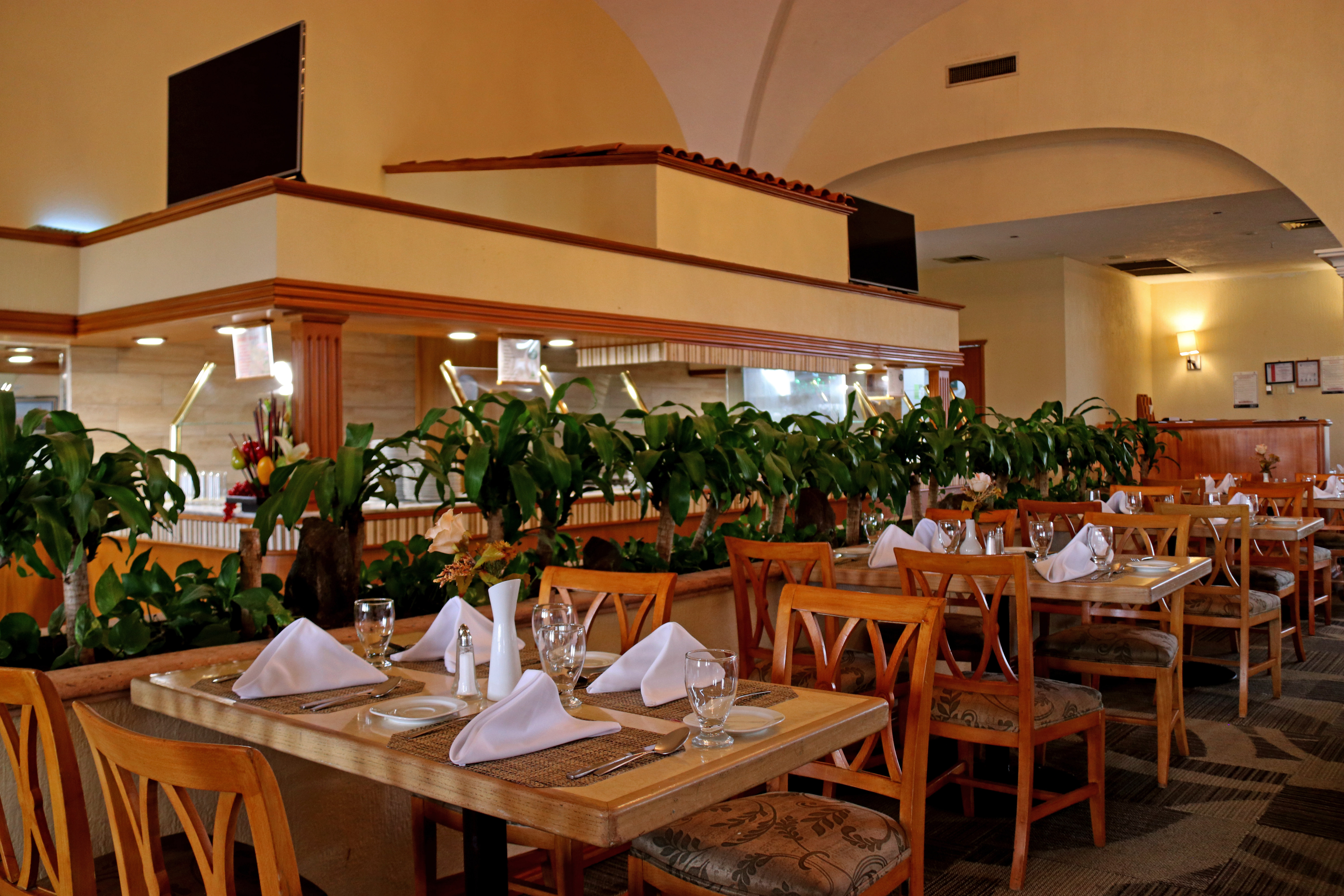 Holiday Inn La Piedad 29/55