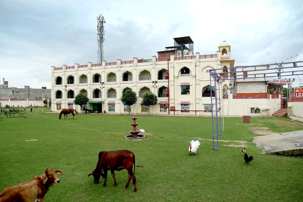 Hotel Roshan Haveli 21/29