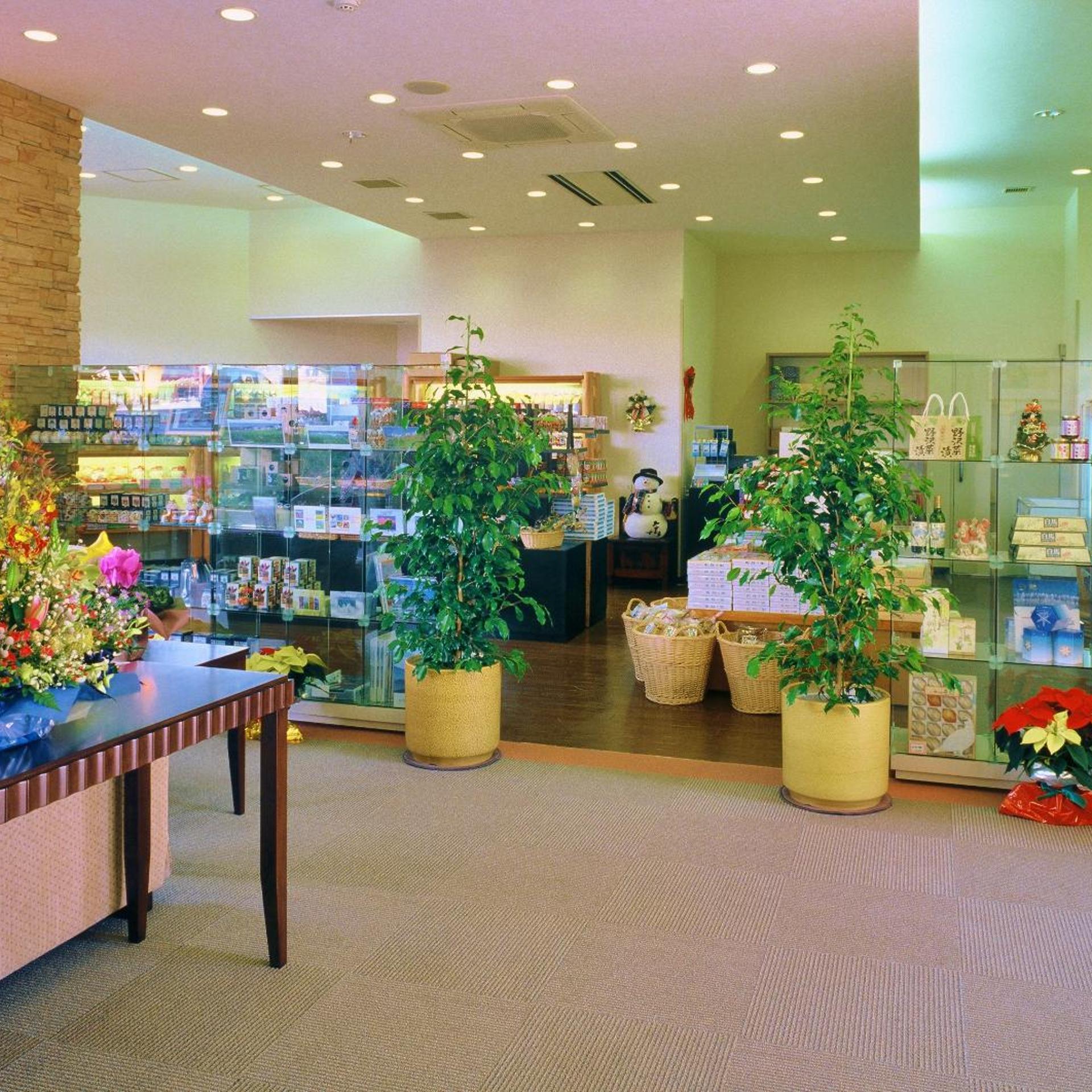 Hotel Hakuba 40/50