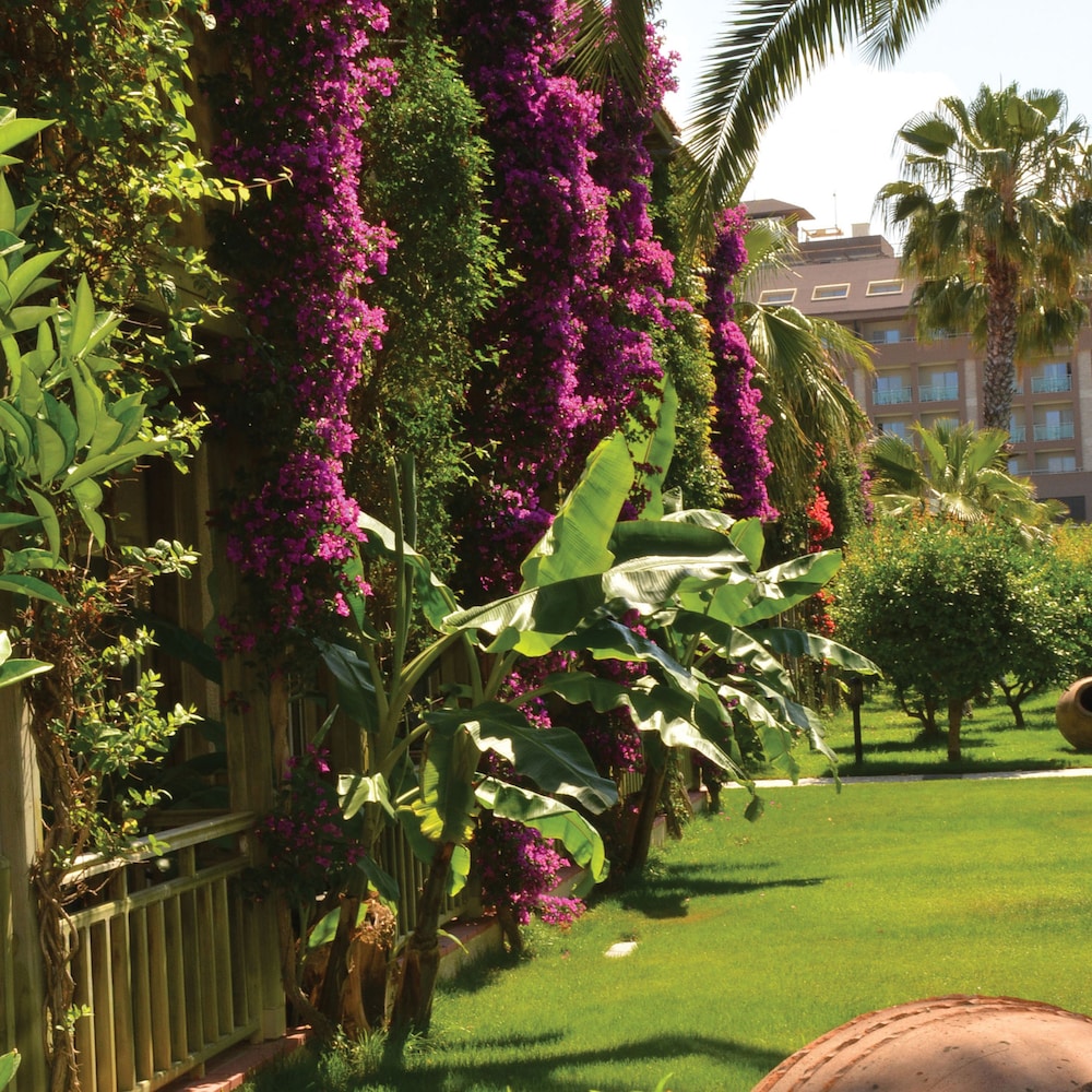 Paloma Oceana Hotel 46/50