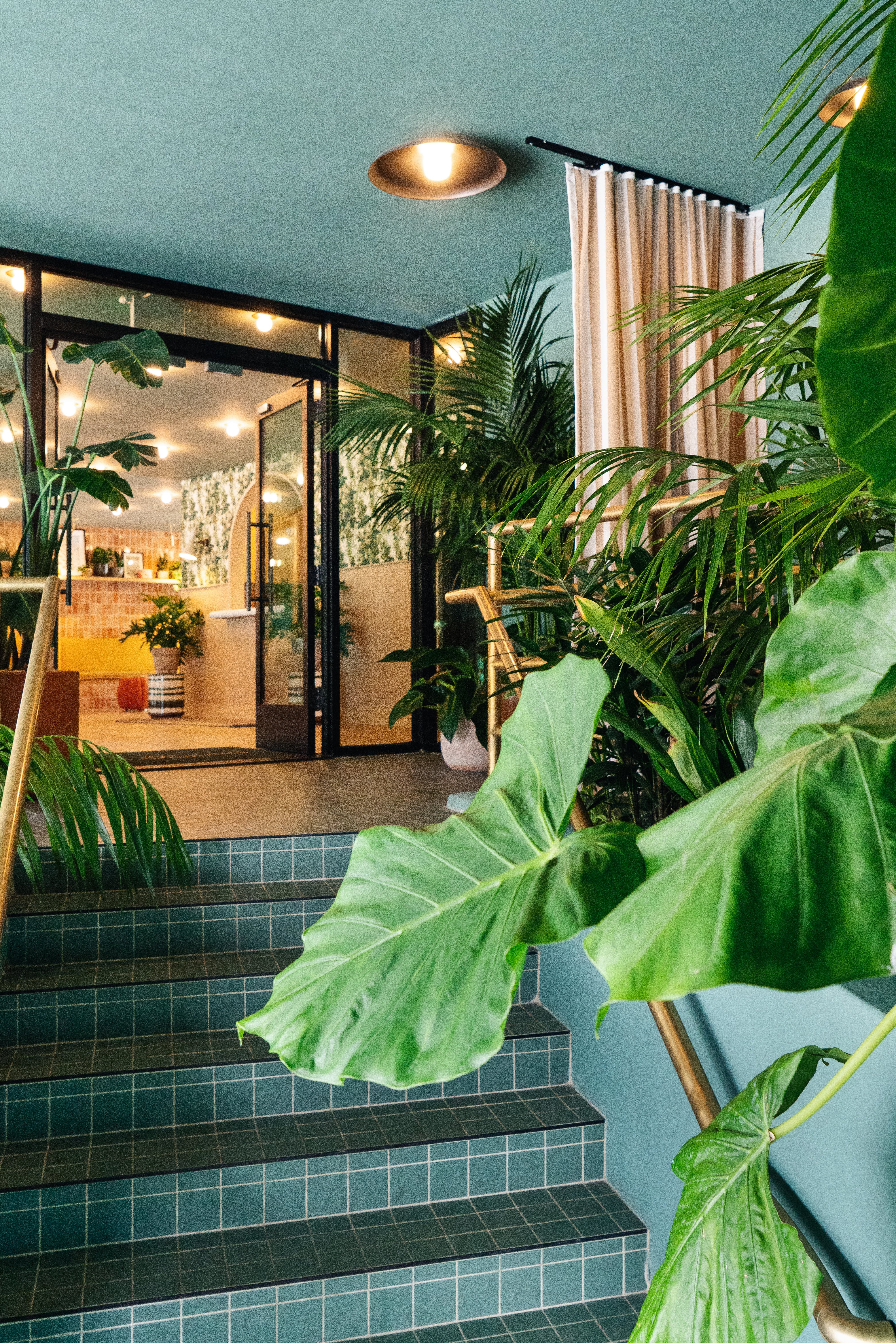 Palihotel Hollywood 12/50