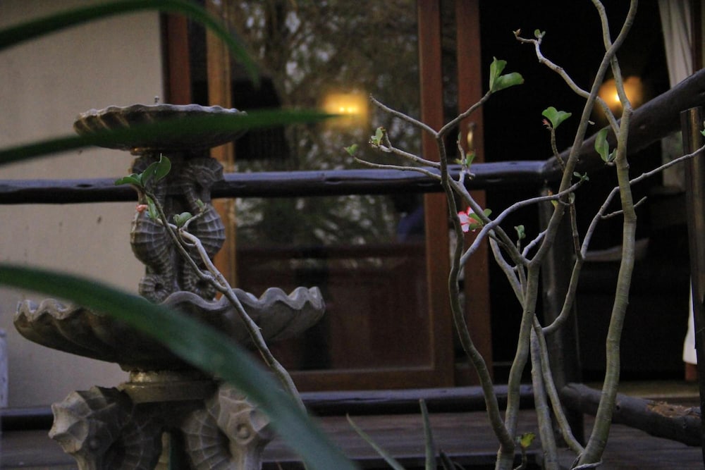 Raptors Lodge N16 15/50