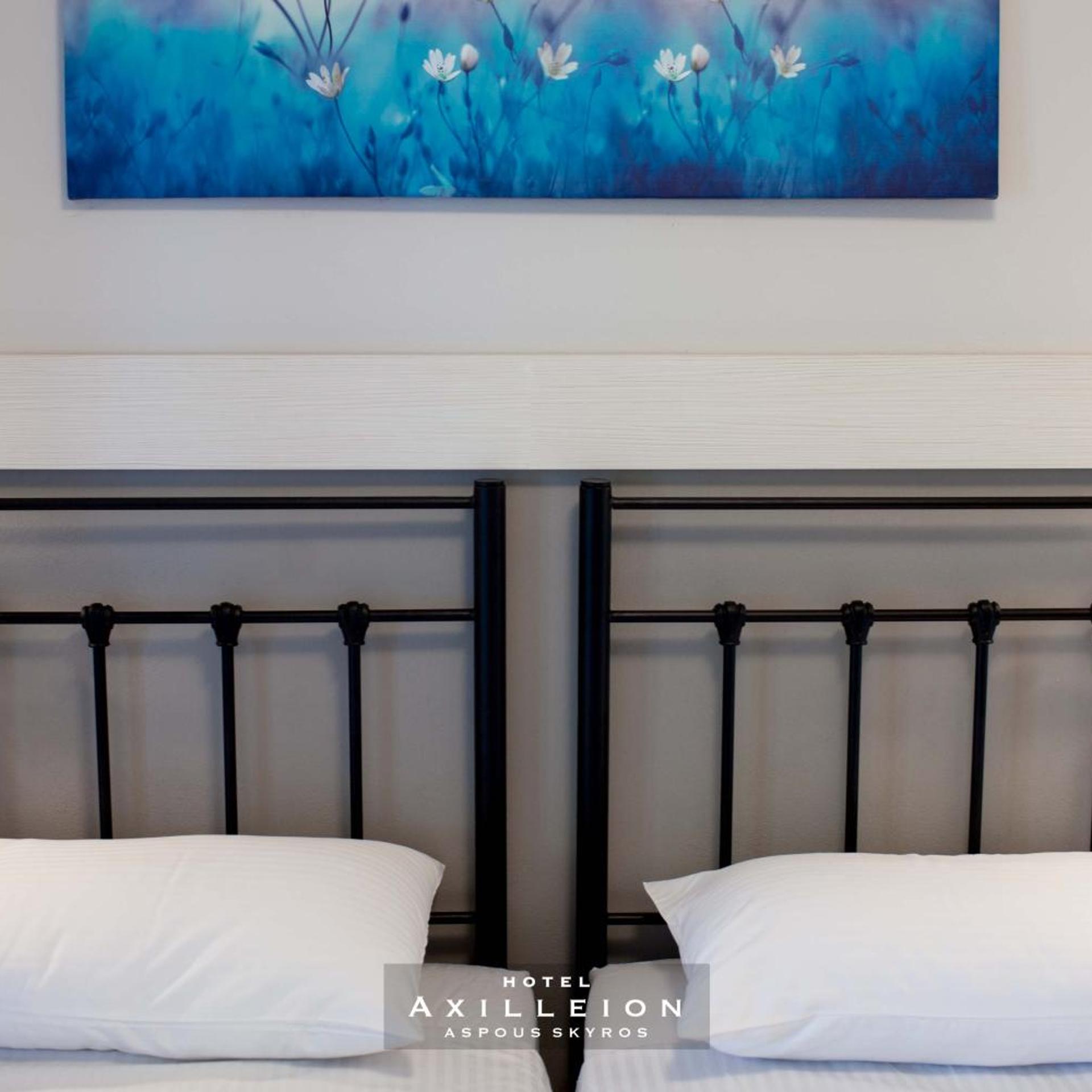 Axilleion Hotel 33/50