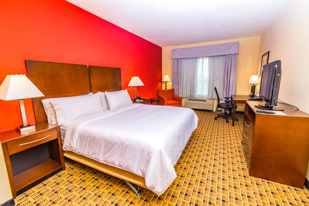 Holiday Inn Express & Suites Houston Space Ctr - Clear Lake 15/50