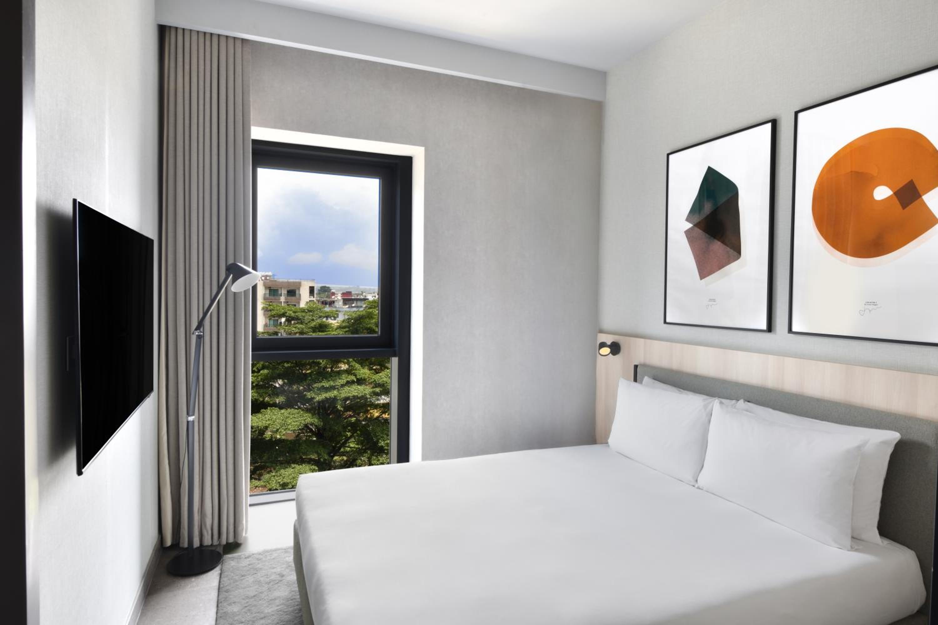 appart 1 chambre