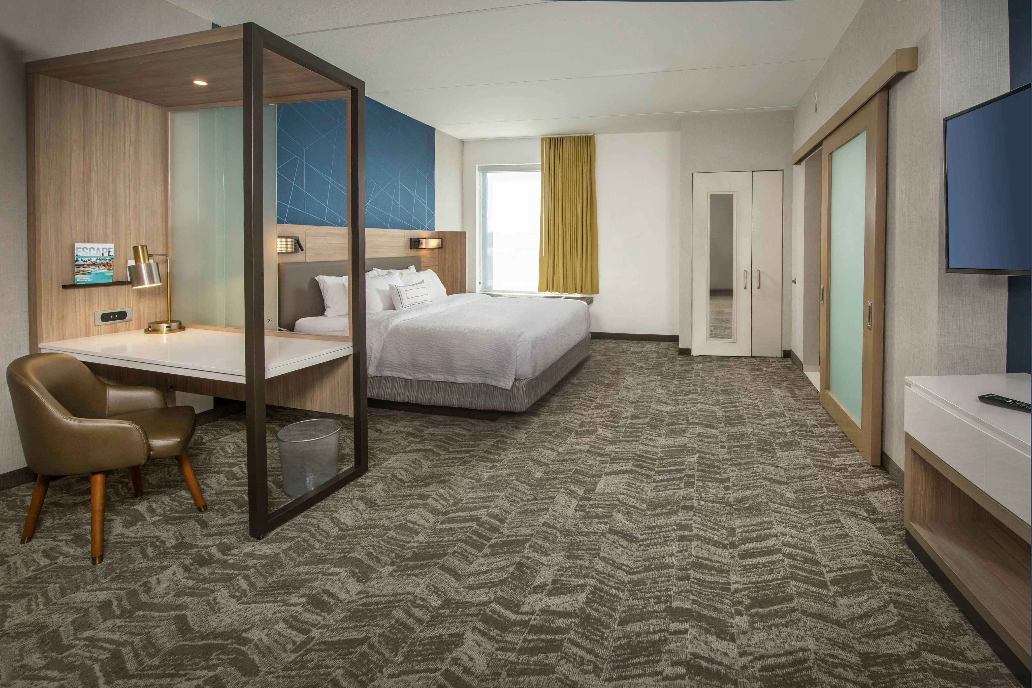 Hotel Springhill Suites By Marriott Gainesville Haymarket 7/34