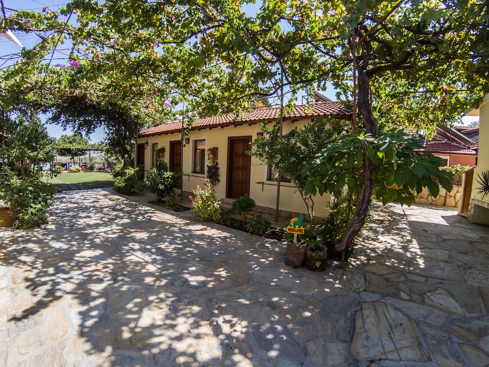 Midas Pension 22/50