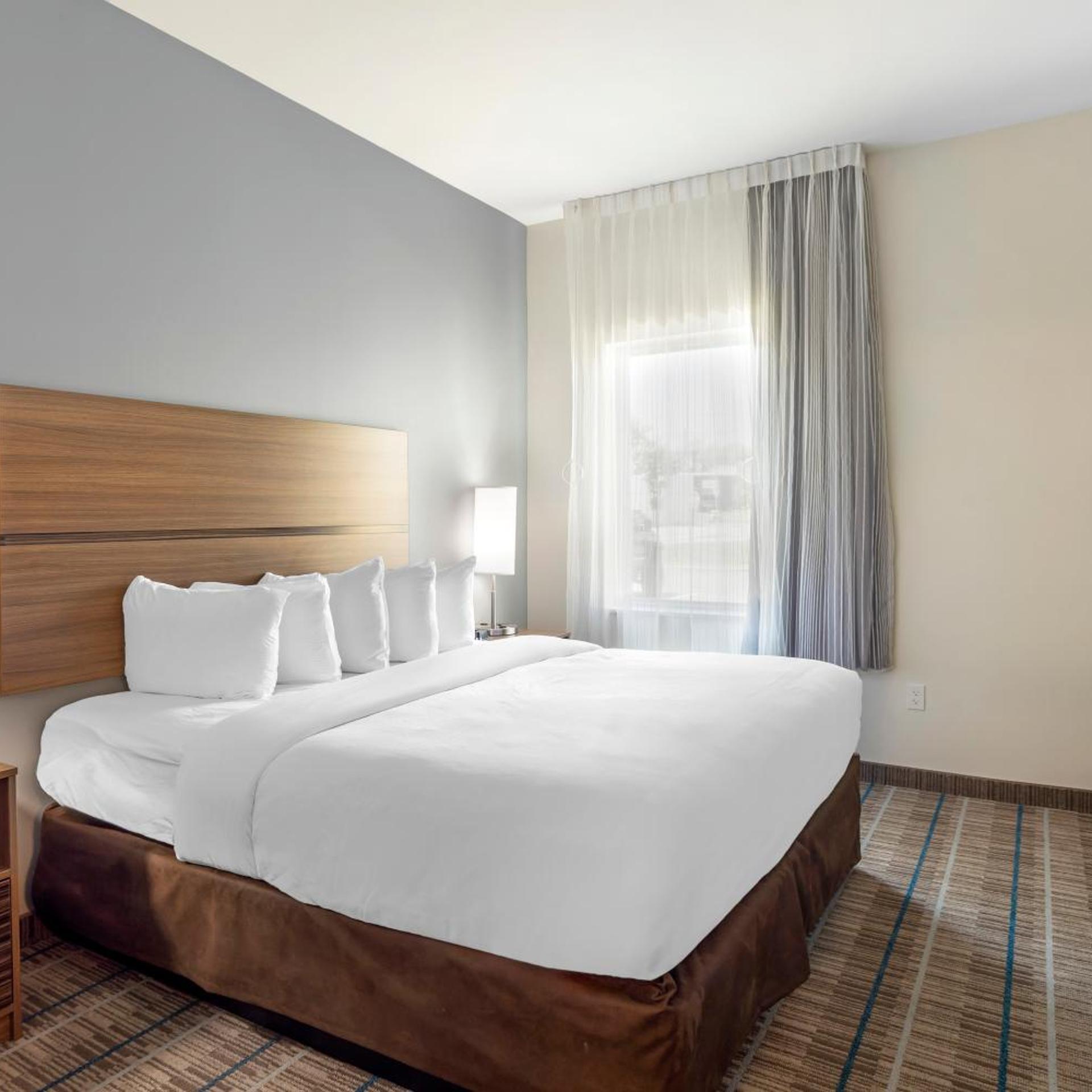 Efficiency, Suite, King Bed, Living Area, Accessible
