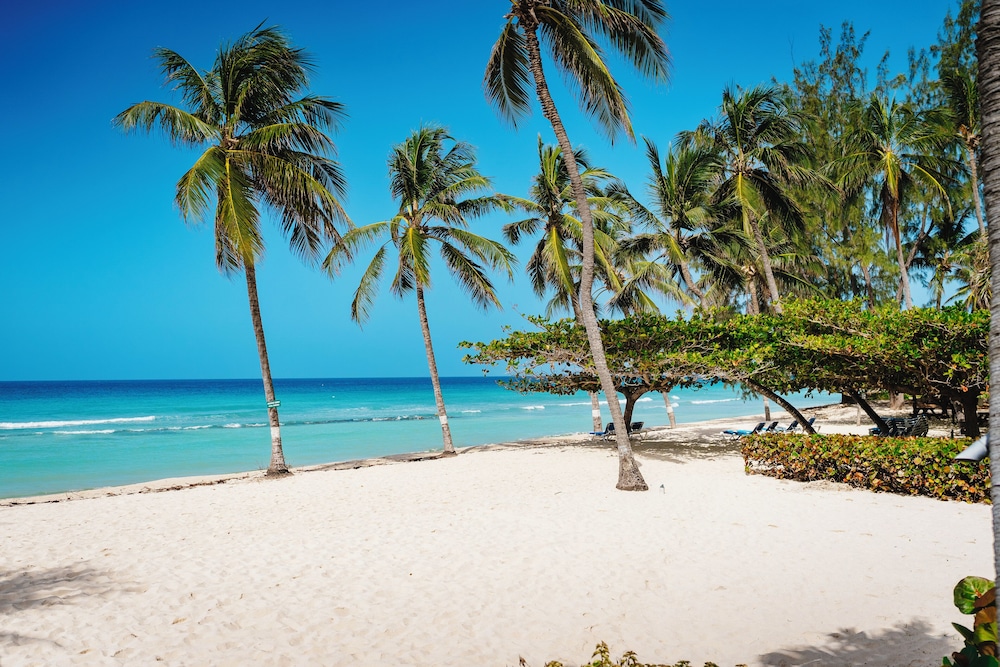Coconut Court Beach Hotel 39/50