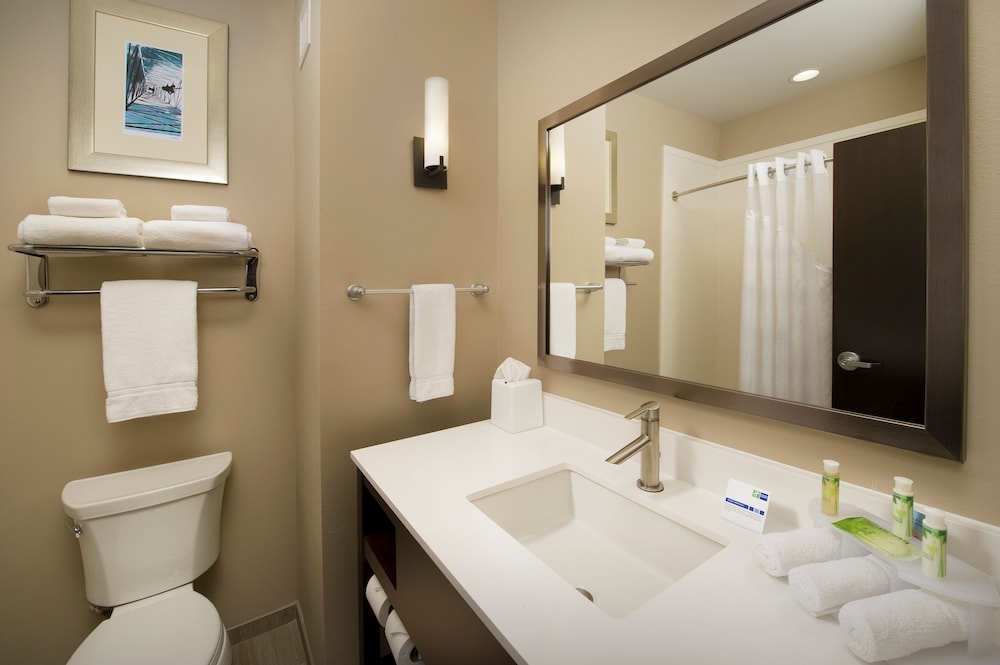 جناح بسريرين كوين مع أريكة، Holiday Inn Express And Suites Waco South 3/3