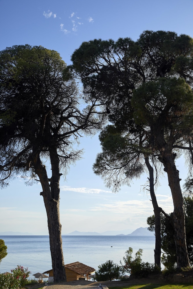 Elivi Skiathos 31/50