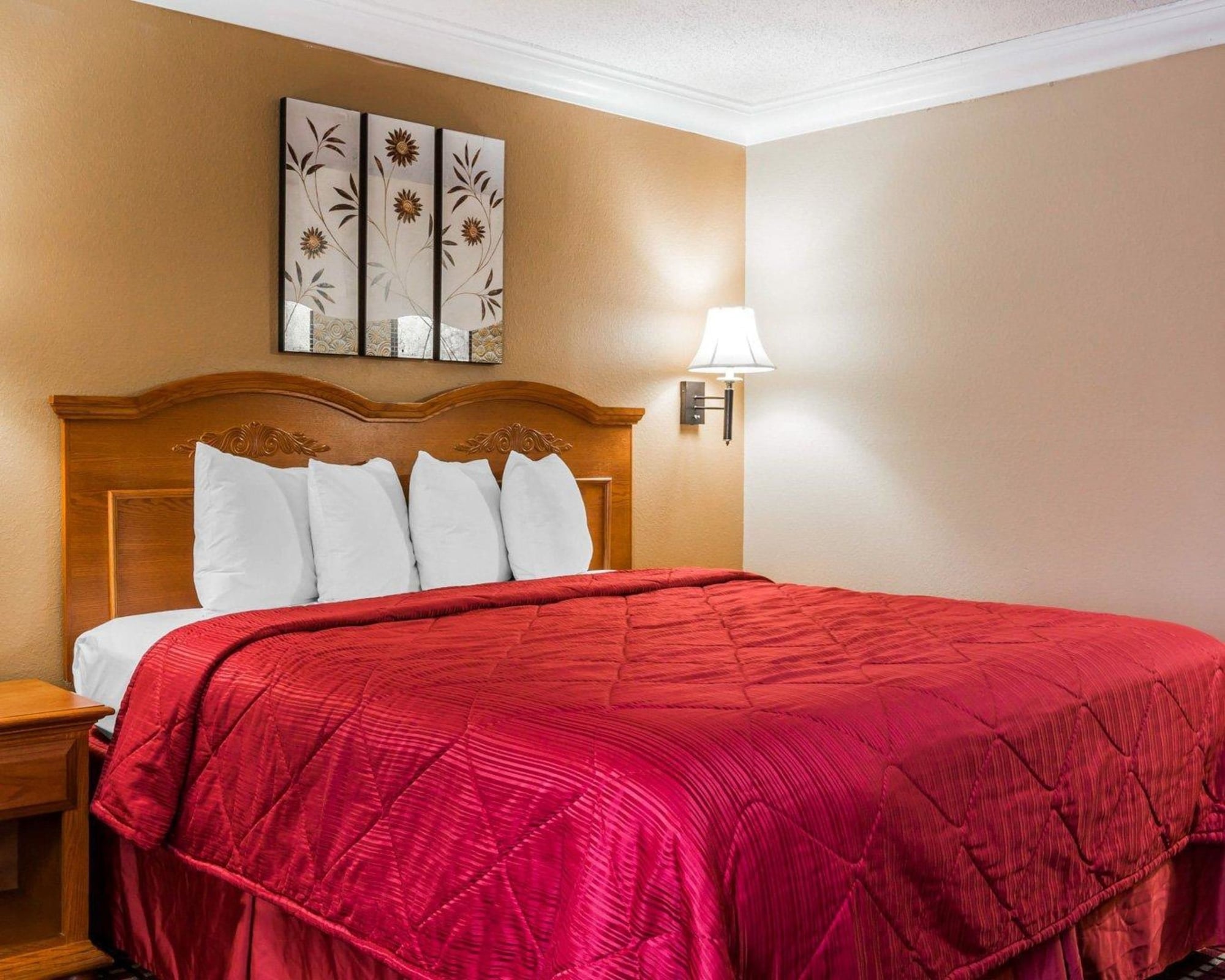 غرفة بسرير كينج لذوي الإعاقة، Quality Inn & Suites Atlanta Airport South 4/4