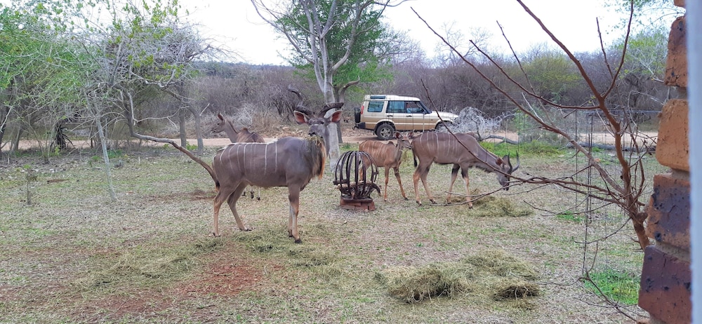 Kruger Riverside Lodge 40/50