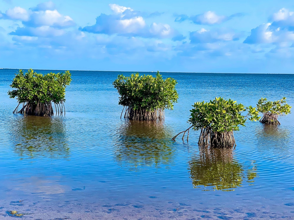 Akuazul Resorts Adults Only 45/50
