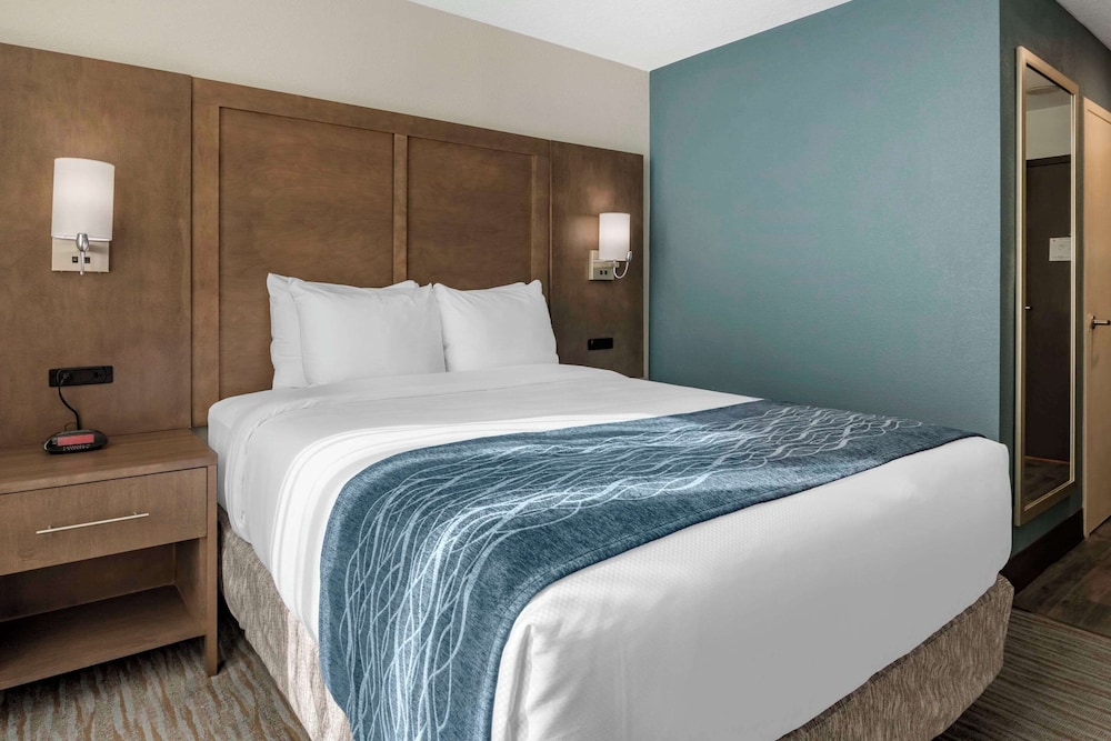 ROOM, QUEEN BED, ACCESSIBLE